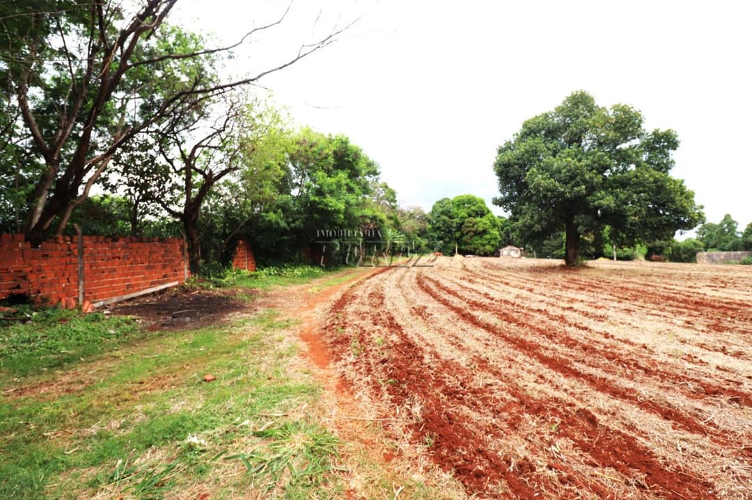 Terrenos à venda no Gleba Lindóia - Londrina/PR - Foto 7