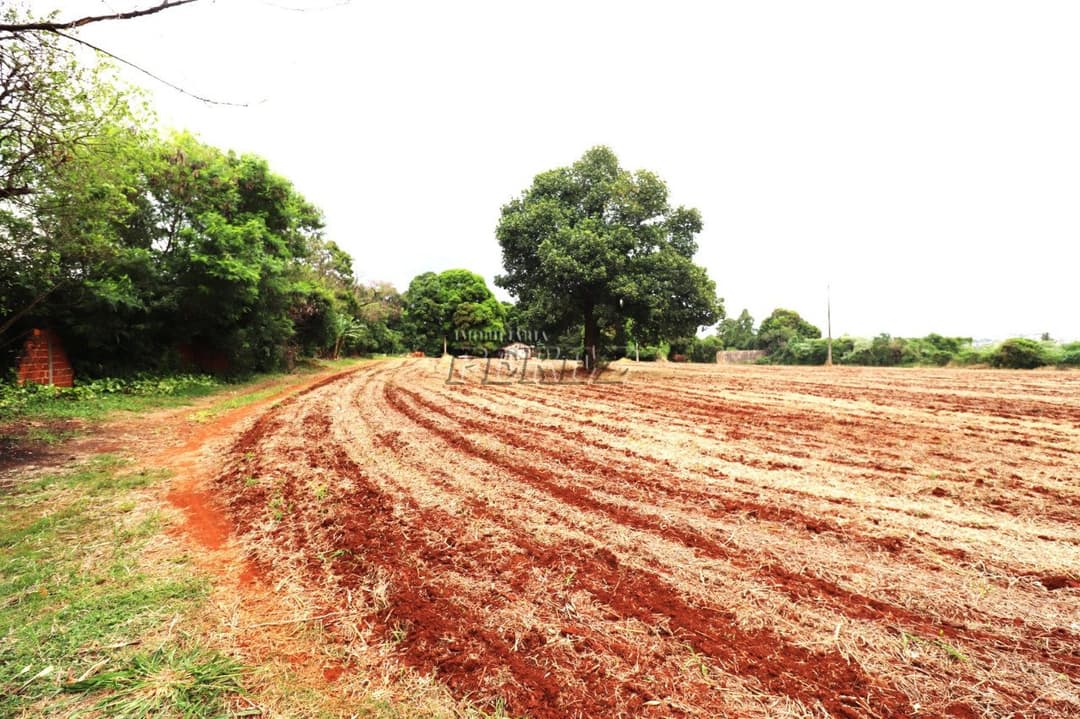 Terrenos à venda no Gleba Lindóia - Londrina/PR - Foto 8