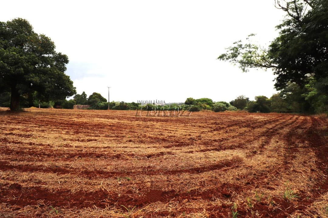 Terrenos à venda no Gleba Lindóia - Londrina/PR - Foto 9