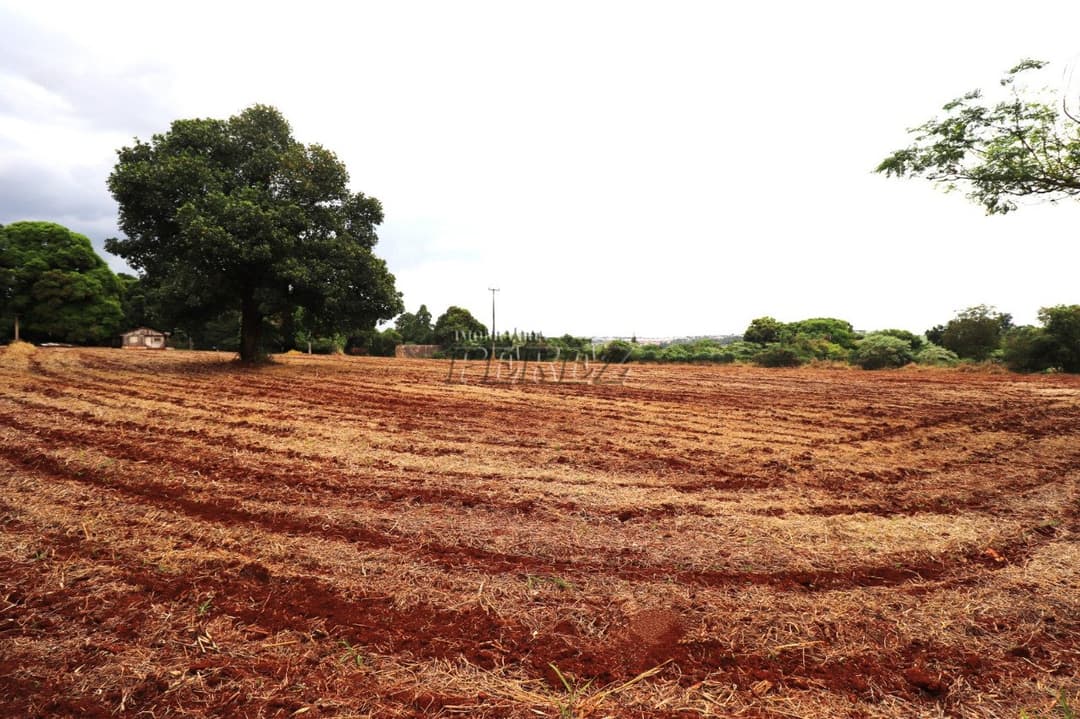 Terrenos à venda no Gleba Lindóia - Londrina/PR - Foto 10