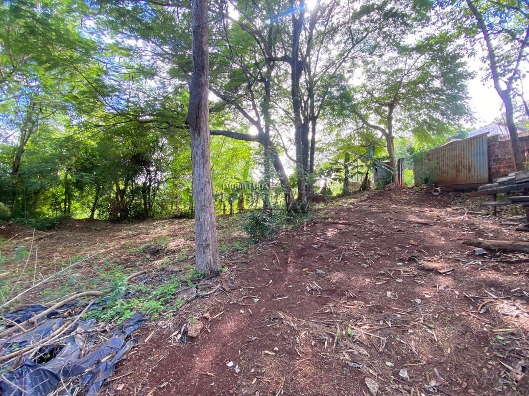 Terrenos à venda no Gleba Lindoia - Londrina/PR - Foto 3