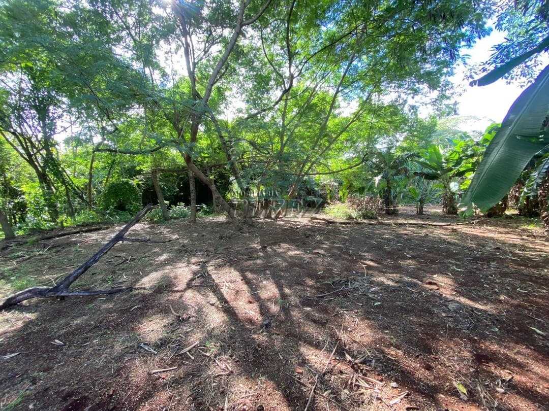 Terrenos à venda no Gleba Lindoia - Londrina/PR - Foto 5