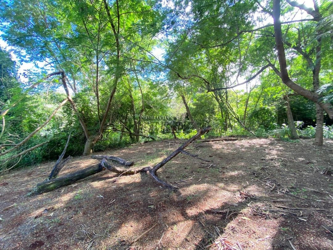 Terrenos à venda no Gleba Lindoia - Londrina/PR - Foto 6