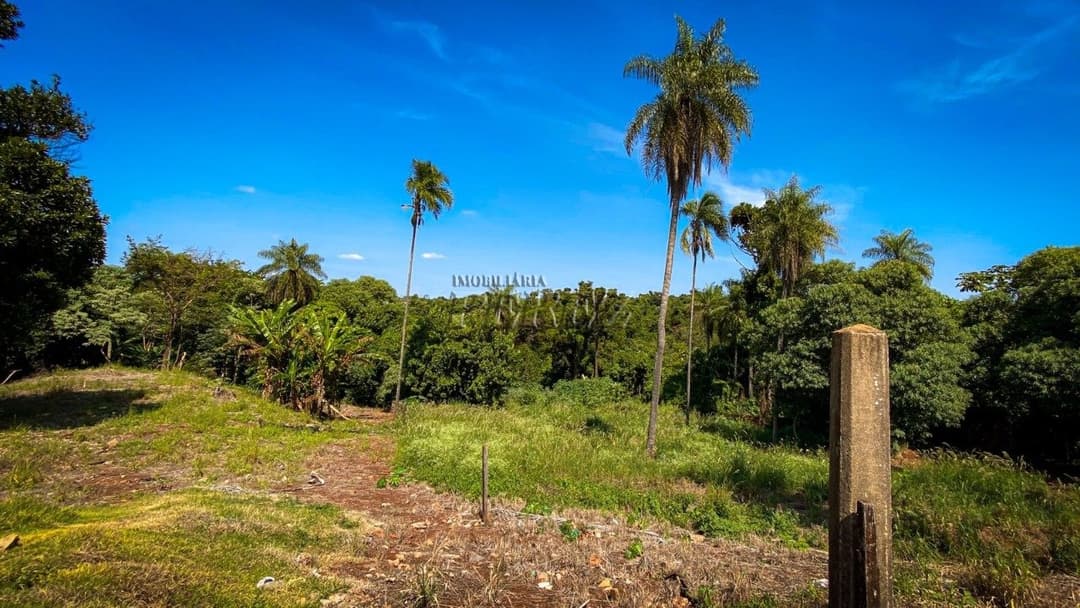 Terrenos à venda no Parque Jamaica - Londrina/PR - Foto 1