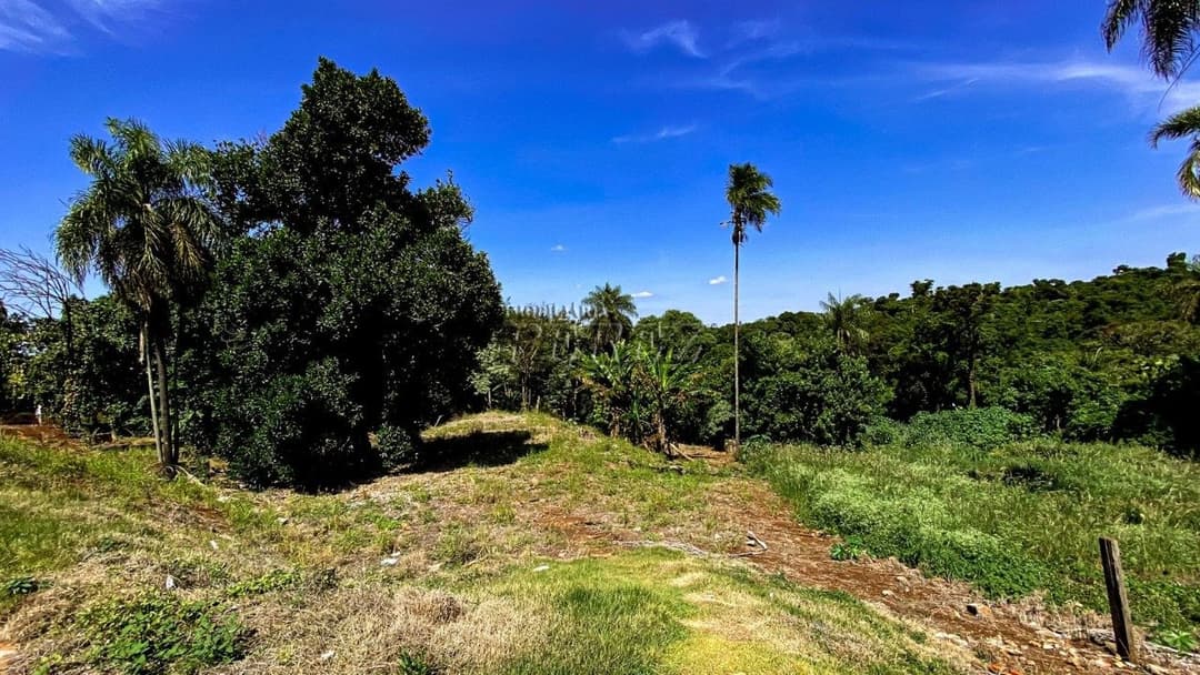 Terrenos à venda no Parque Jamaica - Londrina/PR - Foto 6