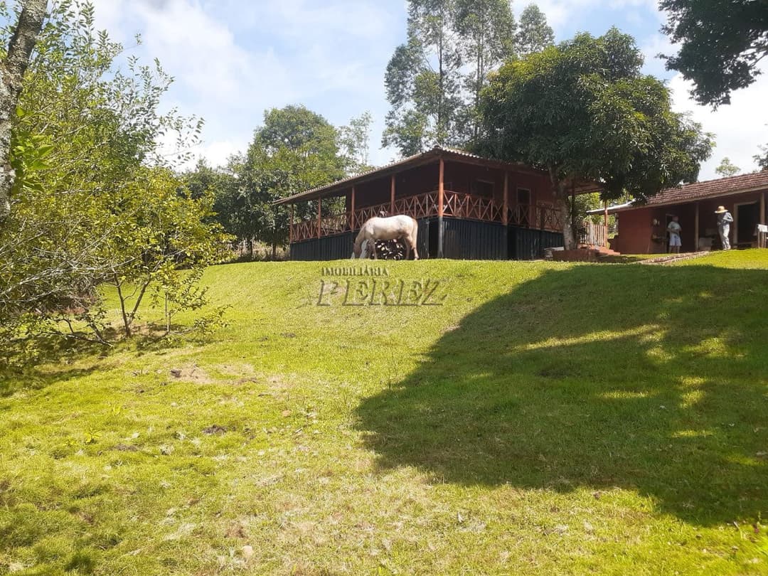 Imóveis Rurais, de 3 quartos à venda no Monjolinho - Ibiporã/PR - Foto 0