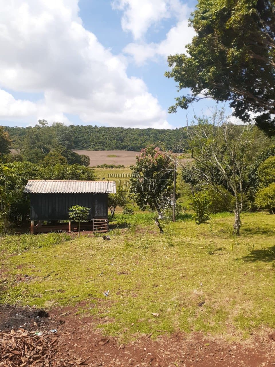 Imóveis Rurais, de 3 quartos à venda no Monjolinho - Ibiporã/PR - Foto 9