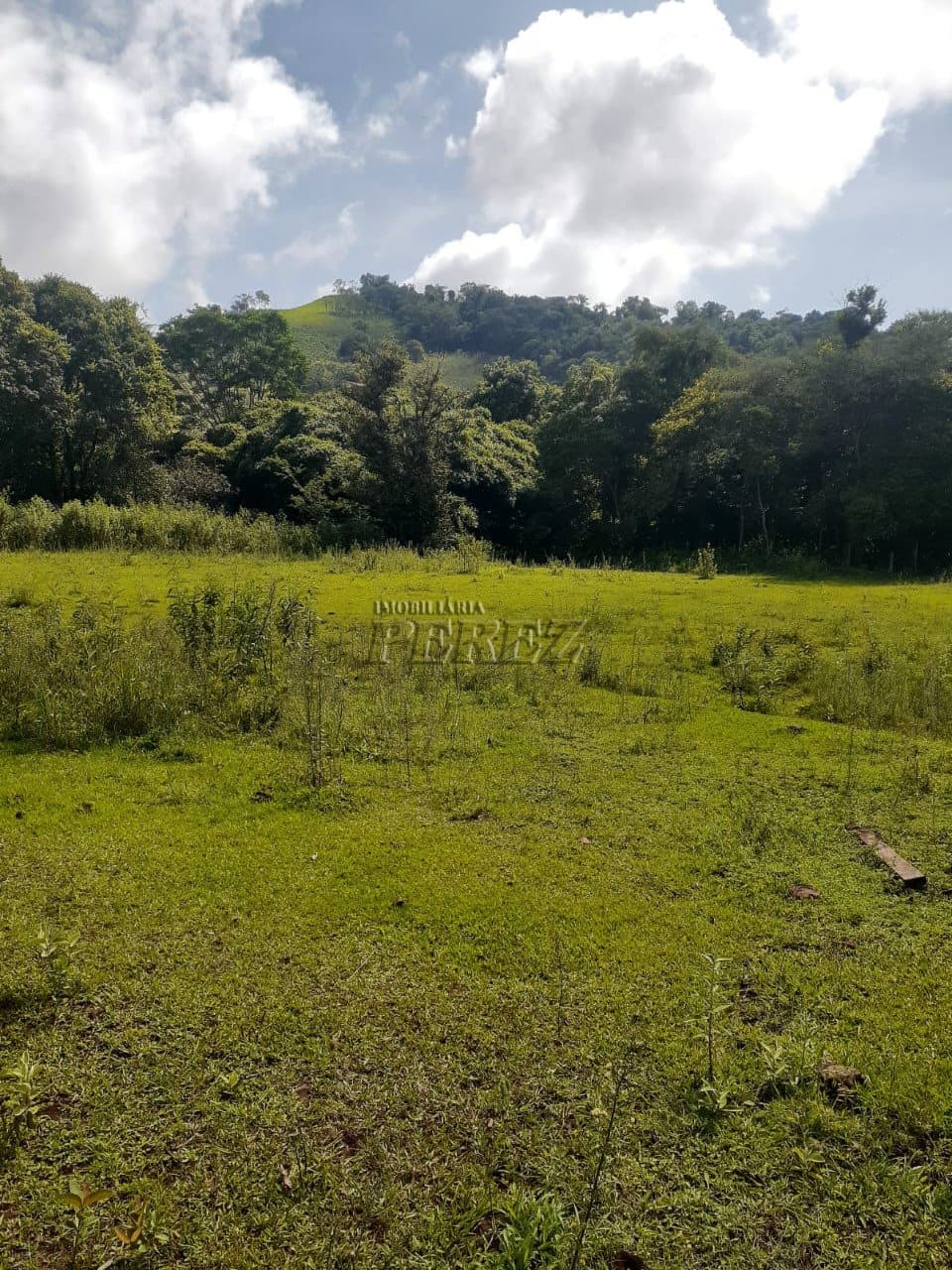 Imóveis Rurais, de 3 quartos à venda no Monjolinho - Ibiporã/PR - Foto 11