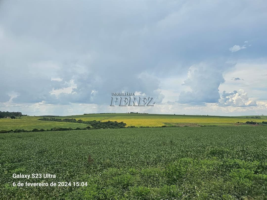 Fazenda 63,00 alqueiresPaulistas a venda na rua Bahia em Prado Ferreira, na Fazenda Ingá Mirim - Foto 13