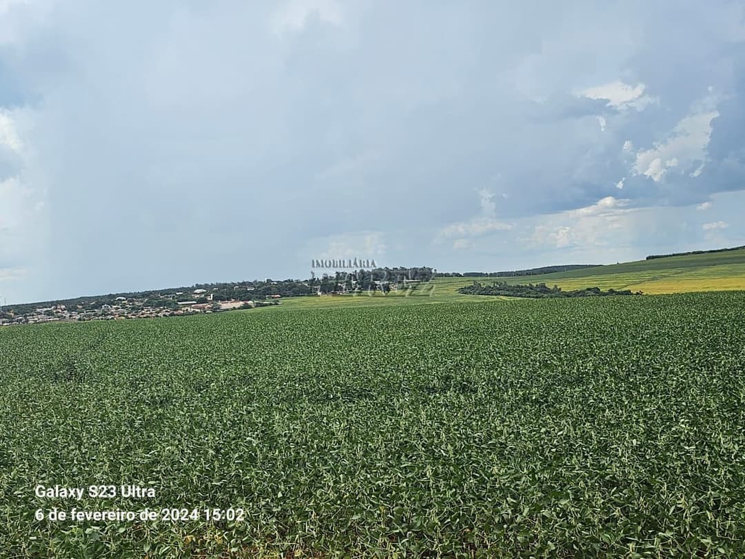 Fazenda 63,00 alqueiresPaulistas a venda na rua Bahia em Prado Ferreira, na Fazenda Ingá Mirim - Foto 14