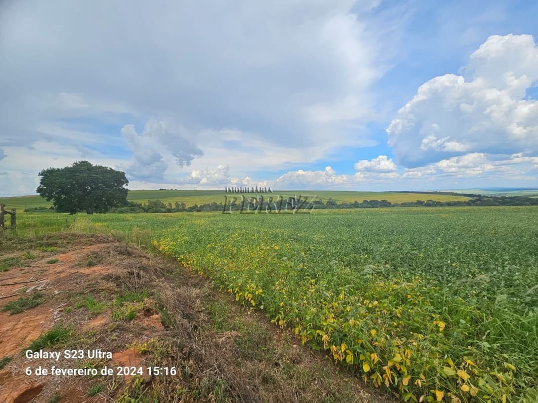 Fazenda 63,00 alqueiresPaulistas a venda na rua Bahia em Prado Ferreira, na Fazenda Ingá Mirim - Foto 16