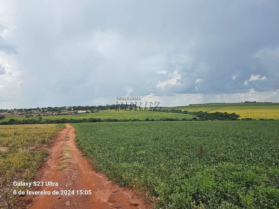 Fazenda 63,00 alqueiresPaulistas a venda na rua Bahia em Prado Ferreira, na Fazenda Ingá Mirim - Foto 11