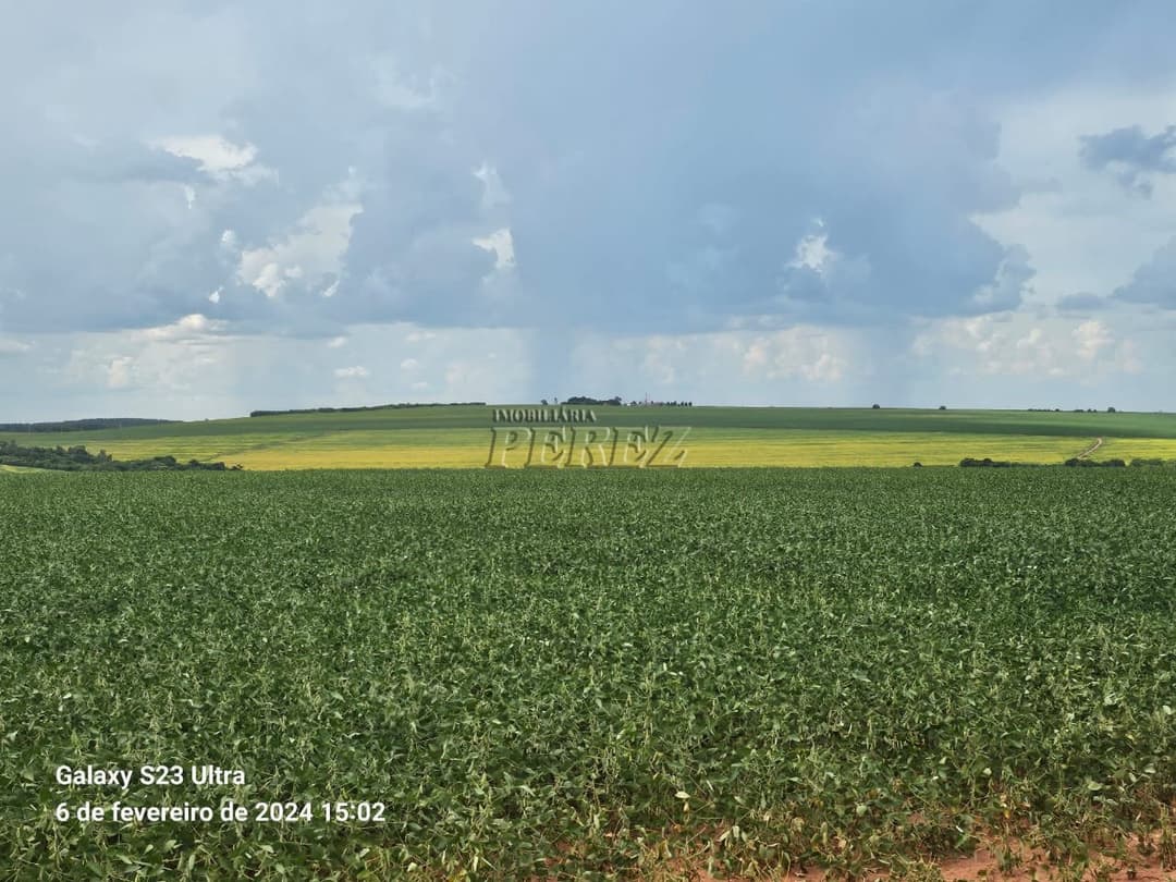 Fazenda 63,00 alqueiresPaulistas a venda na rua Bahia em Prado Ferreira, na Fazenda Ingá Mirim - Foto 15