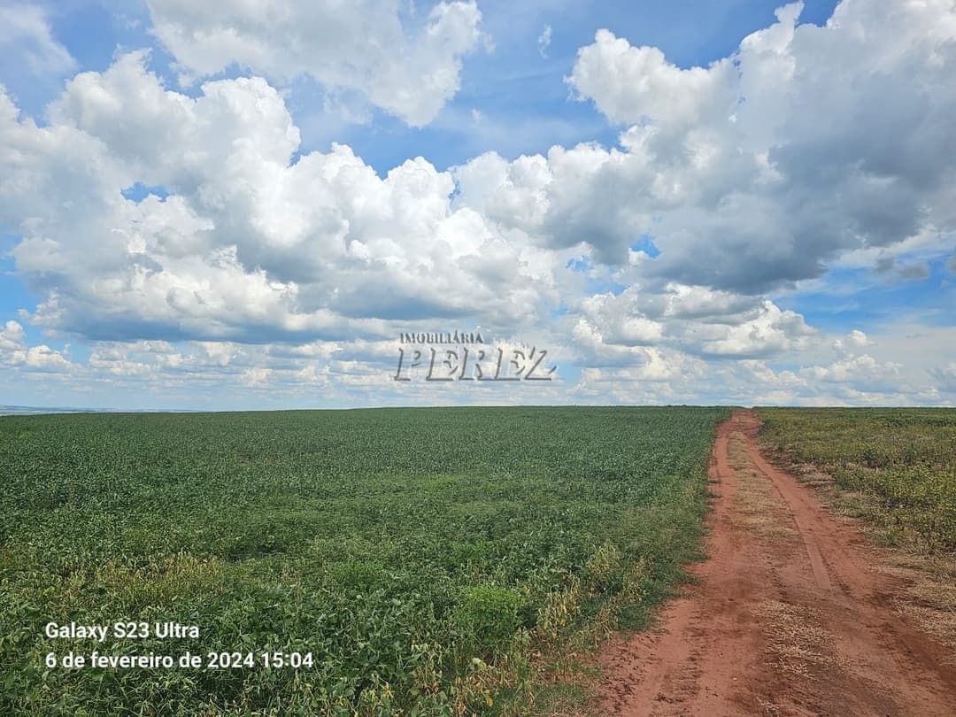 Fazenda 63,00 alqueiresPaulistas a venda na rua Bahia em Prado Ferreira, na Fazenda Ingá Mirim - Foto 12