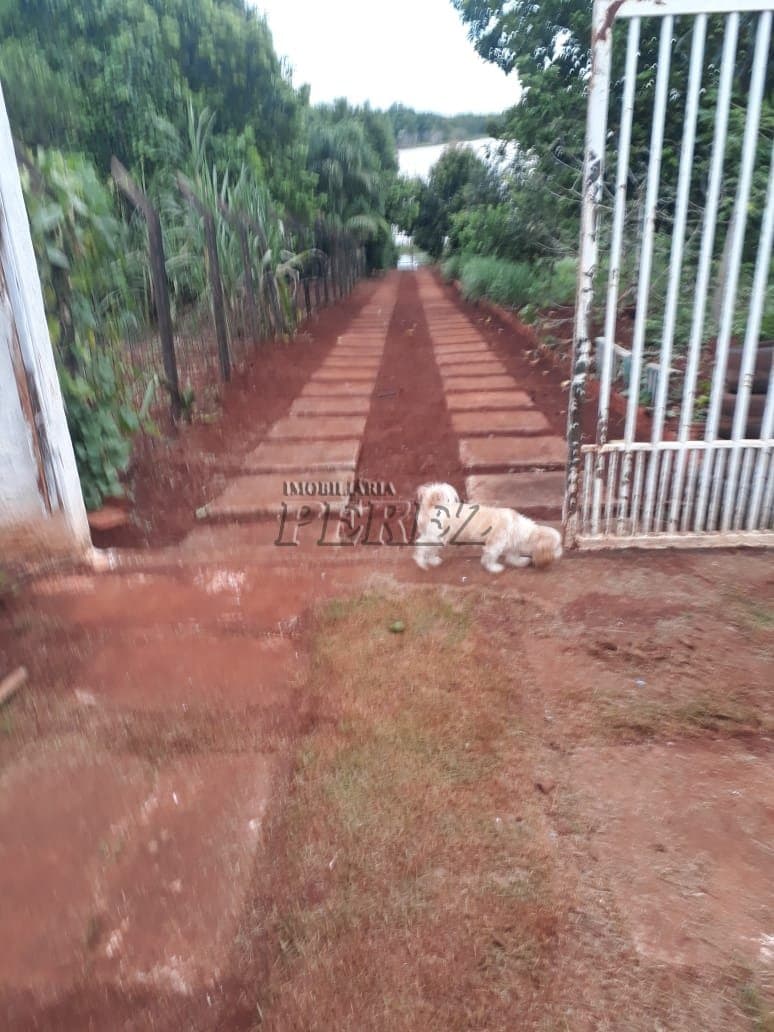 Casa no Chacara Molhada, de 2 quartos para alugar no Itapoa - Sertanópolis/PR - Foto 6