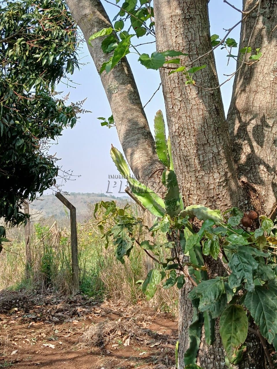 Imóveis Rurais no Condomínio Recanto Dourado, de 2 quartos à venda no Barra Do Jacutinga - Ibiporã/PR - Foto 12