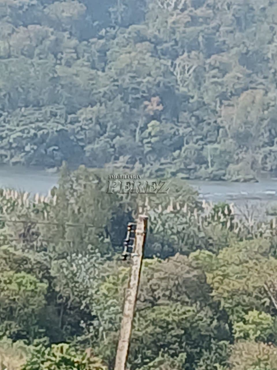 Imóveis Rurais no Condomínio Recanto Dourado, de 2 quartos à venda no Barra Do Jacutinga - Ibiporã/PR - Foto 5