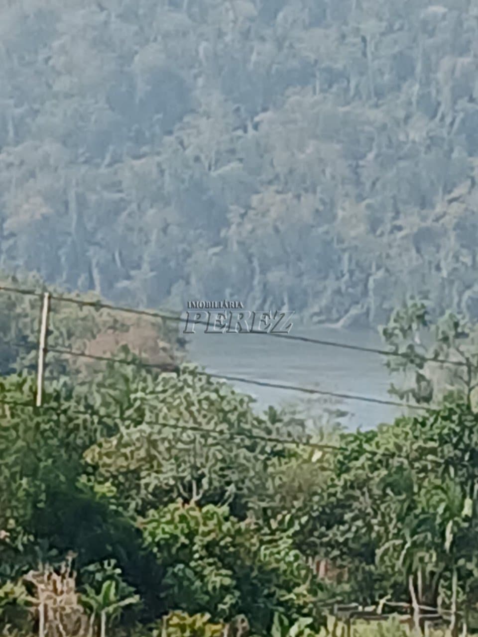 Imóveis Rurais no Condomínio Recanto Dourado, de 2 quartos à venda no Barra Do Jacutinga - Ibiporã/PR - Foto 4