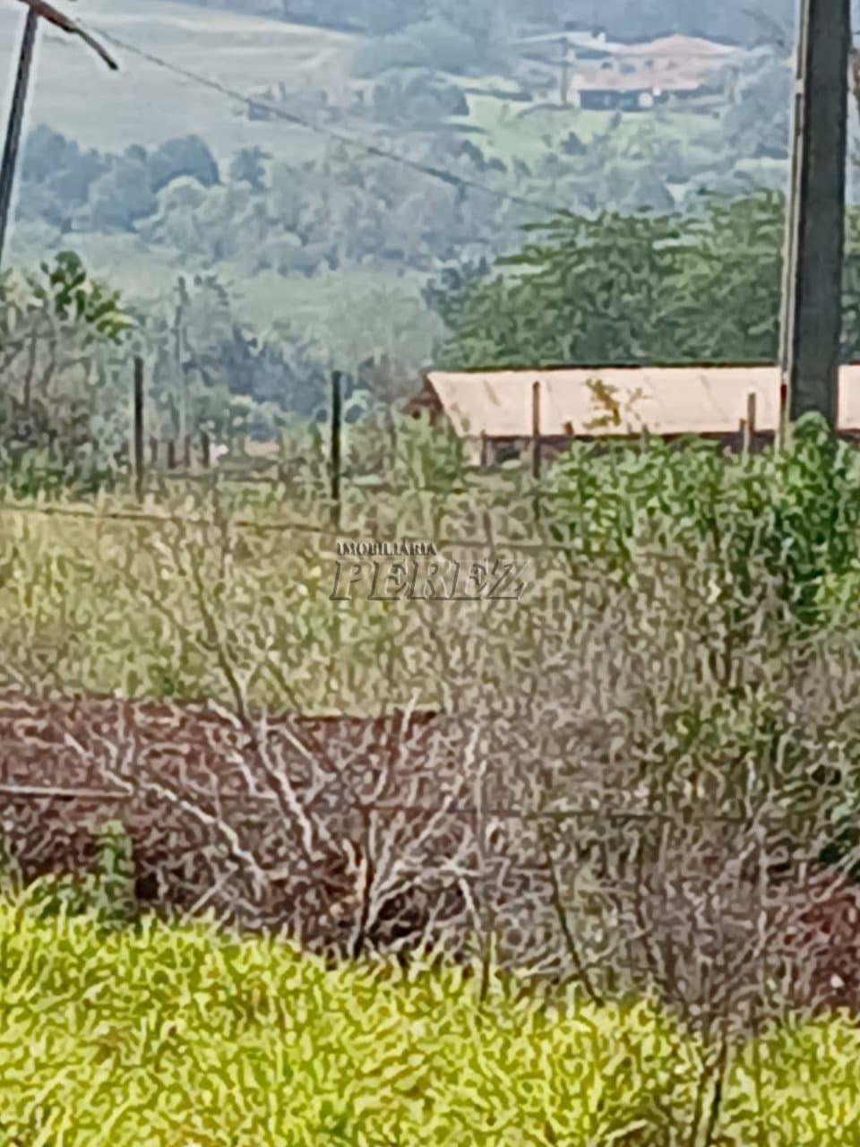 Imóveis Rurais no Condomínio Recanto Dourado, de 2 quartos à venda no Barra Do Jacutinga - Ibiporã/PR - Foto 7