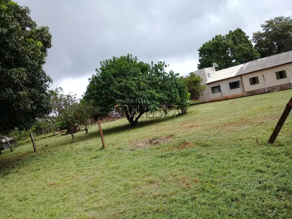Terrenos à venda no Gleba Orle - Arapongas/PR - Foto 20