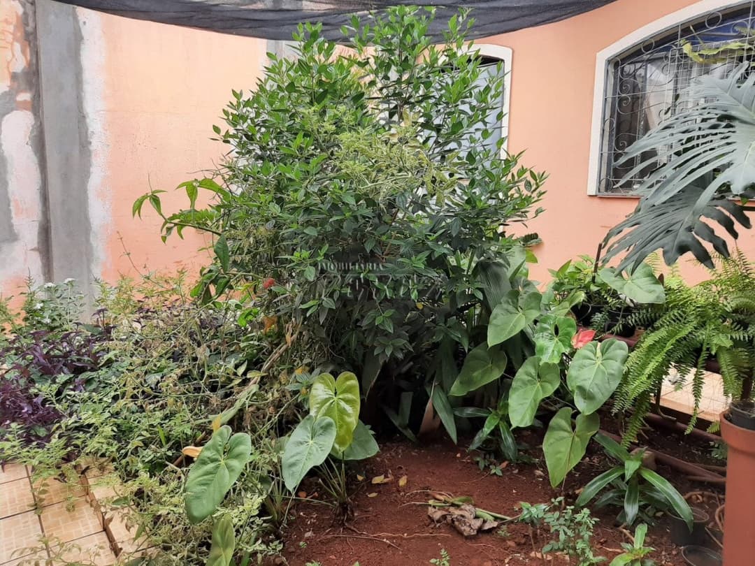 Casa, de 3 quartos, 79.2 m² à venda no Ricardo - Londrina/PR - Foto 18