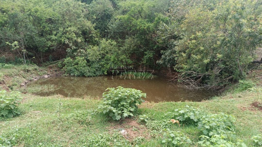 Imóveis Rurais no Chacára Laranjeiras, de 2 quartos à venda no Conjunto Habitacional Flores - Londrina/PR - Foto 1
