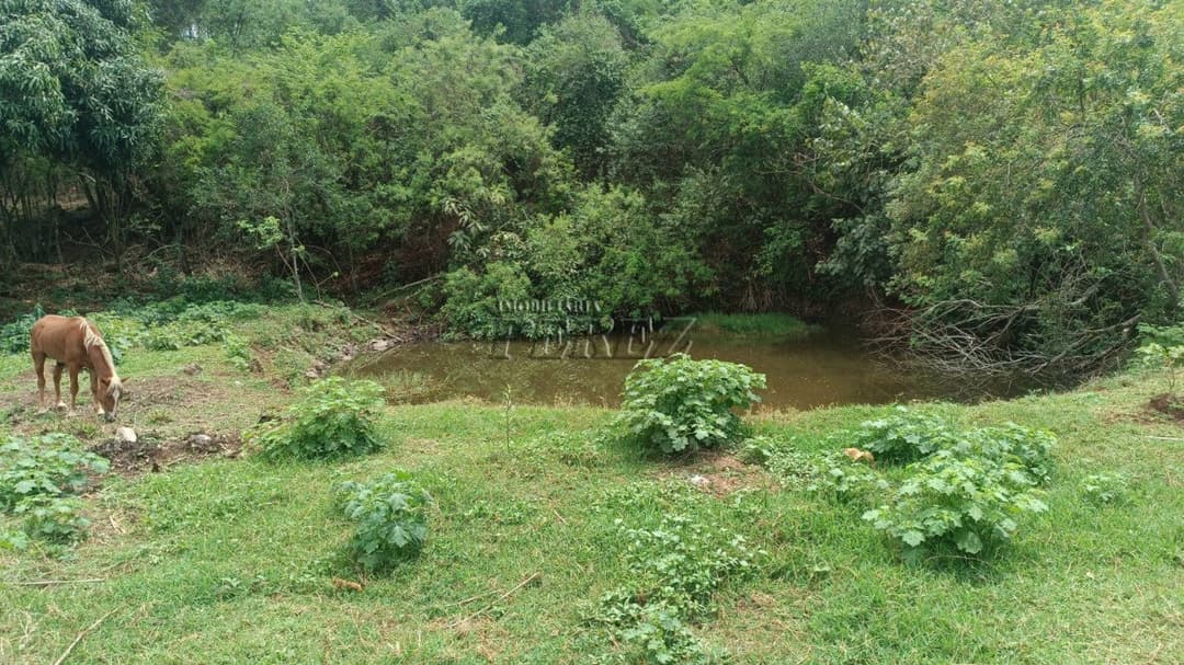 Imóveis Rurais no Chacára Laranjeiras, de 2 quartos à venda no Conjunto Habitacional Flores - Londrina/PR - Foto 2