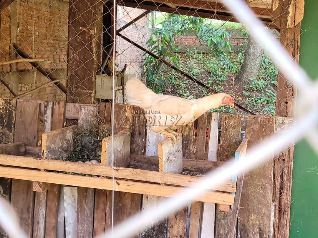 Imóveis Rurais no Chacára Laranjeiras, de 2 quartos à venda no Conjunto Habitacional Flores - Londrina/PR - Foto 11