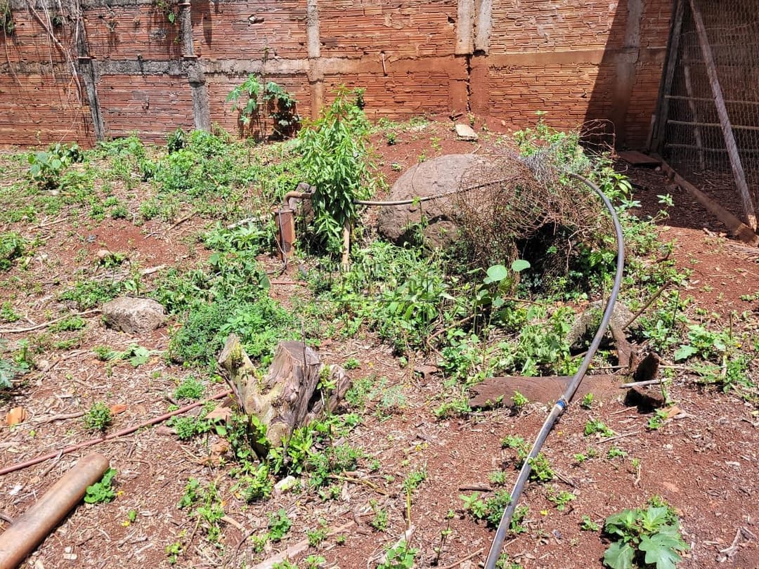 Imóveis Rurais no Chacára Laranjeiras, de 2 quartos à venda no Conjunto Habitacional Flores - Londrina/PR - Foto 13