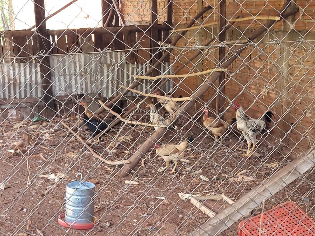Imóveis Rurais no Chacára Laranjeiras, de 2 quartos à venda no Conjunto Habitacional Flores - Londrina/PR - Foto 14