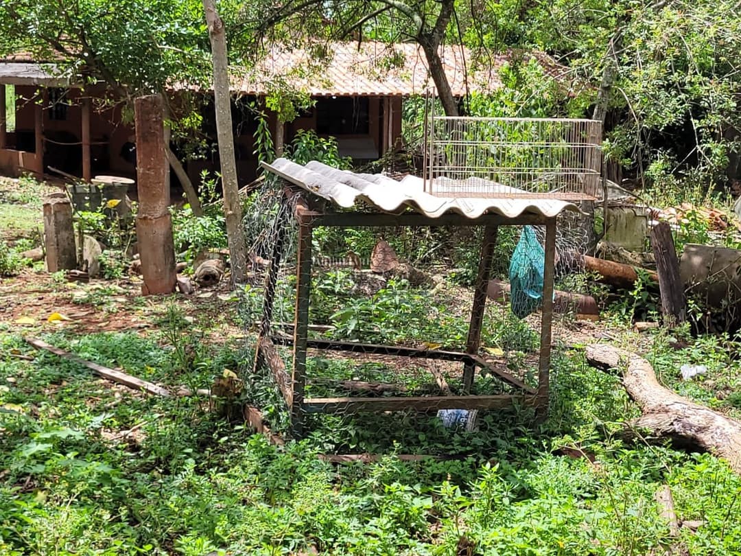 Imóveis Rurais no Chacára Laranjeiras, de 2 quartos à venda no Conjunto Habitacional Flores - Londrina/PR - Foto 15