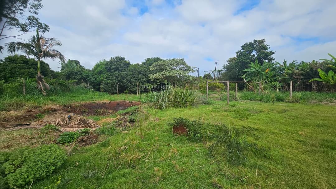 Imóveis Rurais, de 3 quartos, 120 m² à venda no Dom Pedro I - Londrina/PR - Foto 23