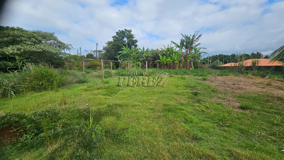 Imóveis Rurais, de 3 quartos, 120 m² à venda no Dom Pedro I - Londrina/PR - Foto 25