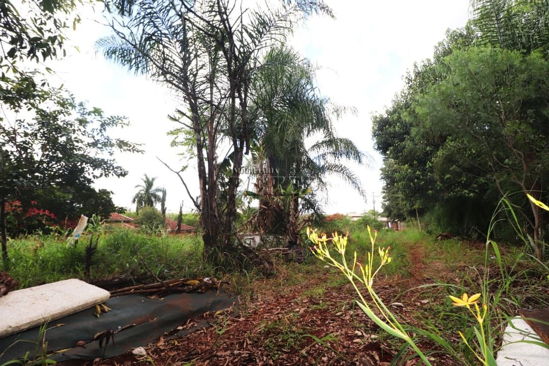 Terrenos à venda no Terras De Santana Ii - Londrina/PR - Foto 14