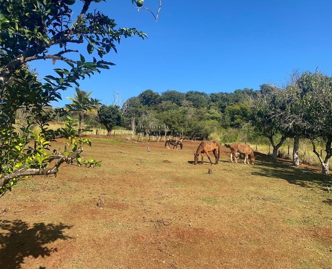 Chácara á venda na região sul em Londrina, Patrimonio Regina. - Foto 19