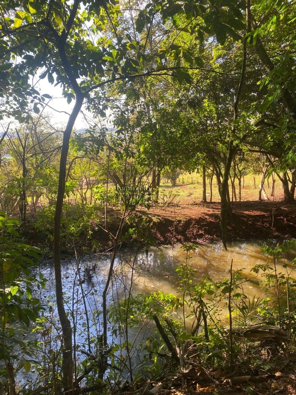 Chácara á venda na região sul em Londrina, Patrimonio Regina. - Foto 10