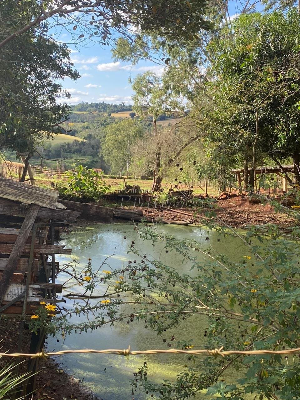 Chácara á venda na região sul em Londrina, Patrimonio Regina. - Foto 11