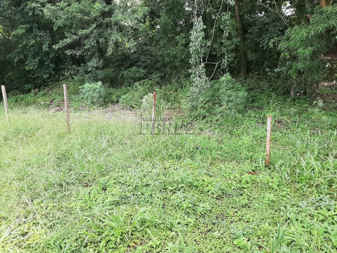 Imóveis Rurais no Condomínio De Chacaras Itauna à venda no Itauna - Ibiporã/PR - Foto 18