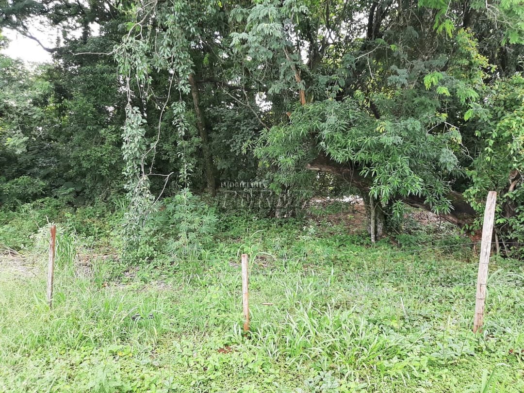 Imóveis Rurais no Condomínio De Chacaras Itauna à venda no Itauna - Ibiporã/PR - Foto 22