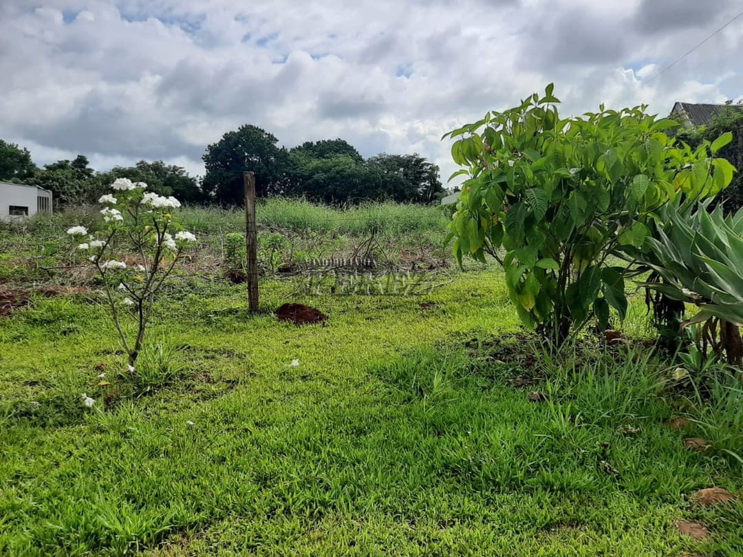 Imóveis Rurais no Condomínio De Chacaras Itauna à venda no Itauna - Ibiporã/PR - Foto 9