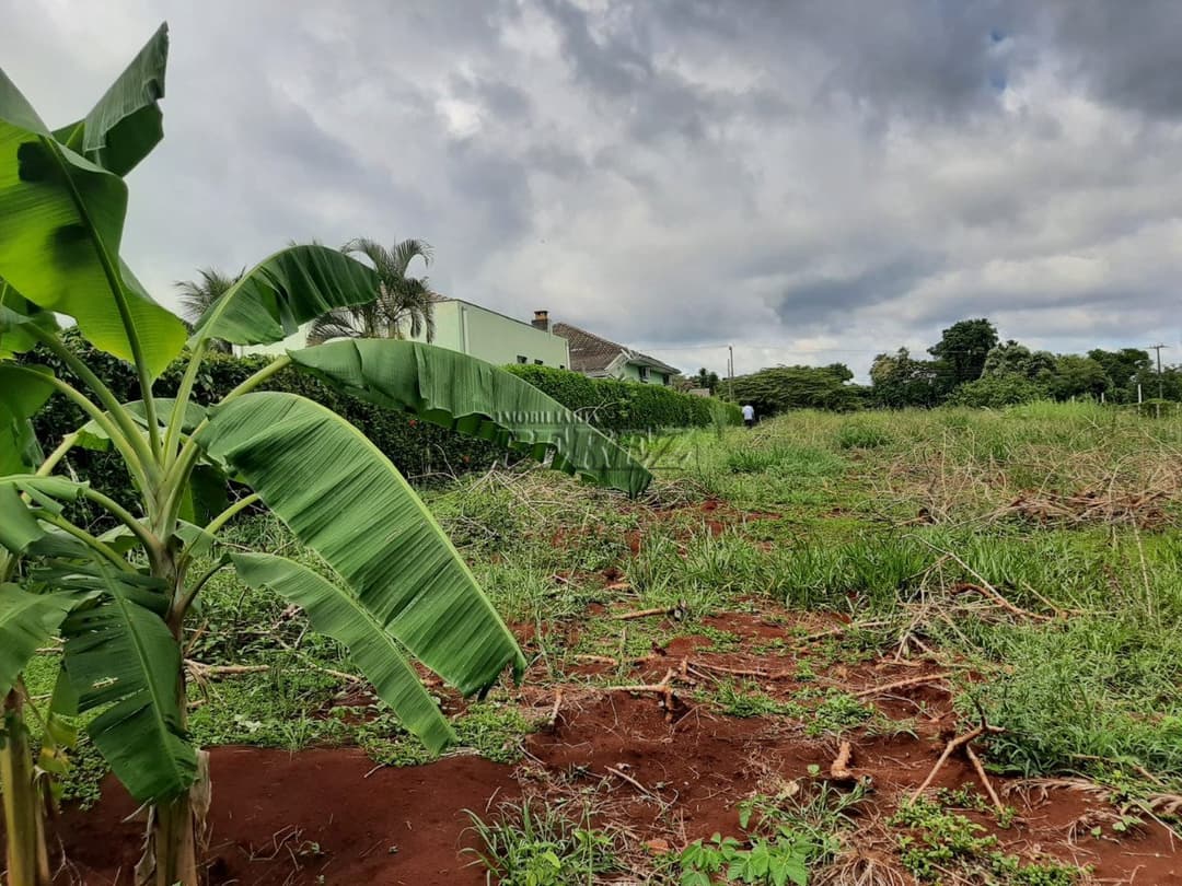 Imóveis Rurais no Condomínio De Chacaras Itauna à venda no Itauna - Ibiporã/PR - Foto 28