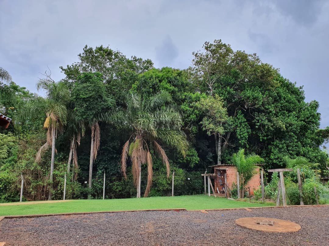 Imóveis Rurais, de 3 quartos, 450 m² à venda no Tamarana - Tamarana/PR - Foto 17