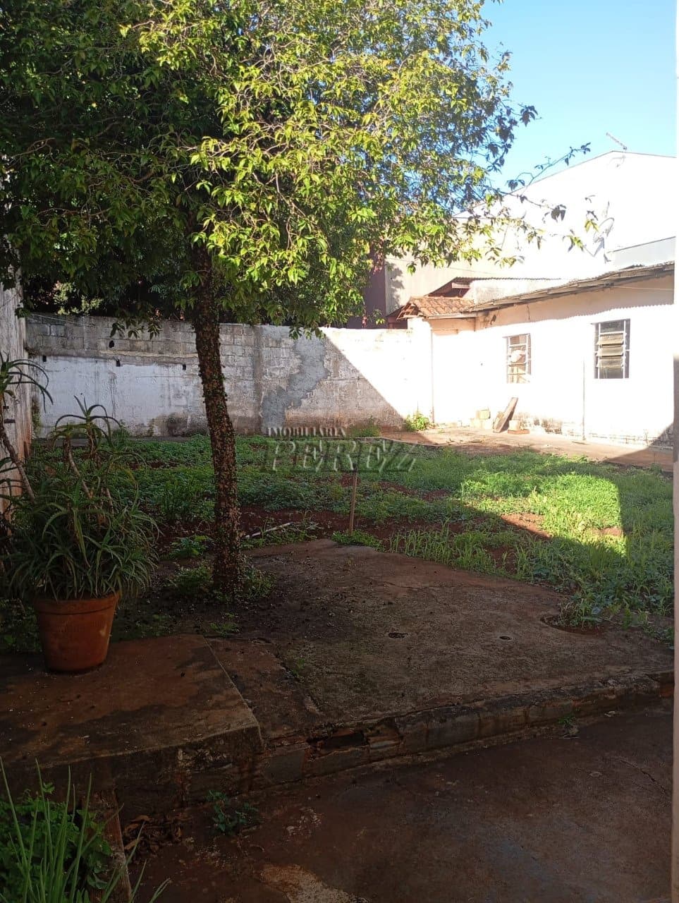Casa, de 5 quartos, 200 m² para alugar no Aeroporto - Londrina/PR - Foto 18