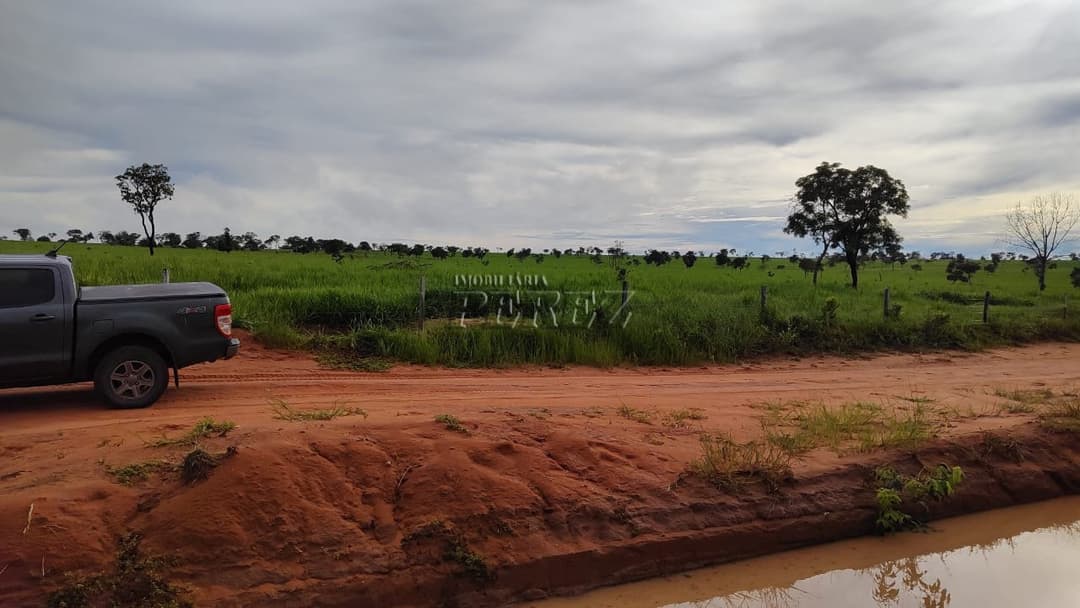 Fazenda à Venda - Coxim, MS - Foto 3