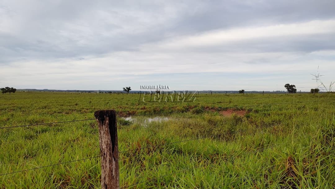 Fazenda à Venda - Coxim, MS - Foto 8