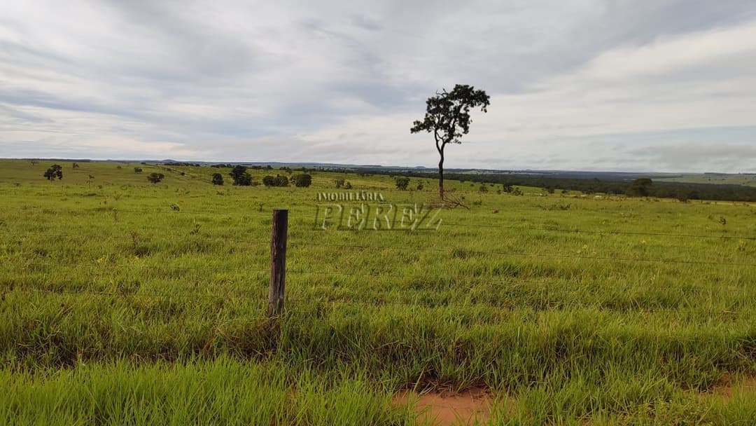 Fazenda à Venda - Coxim, MS - Foto 5