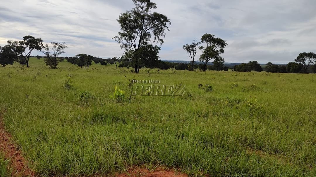 Fazenda à Venda - Coxim, MS - Foto 9