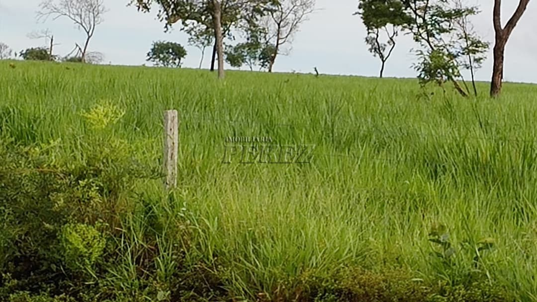 Fazenda à Venda - Coxim, MS - Foto 7