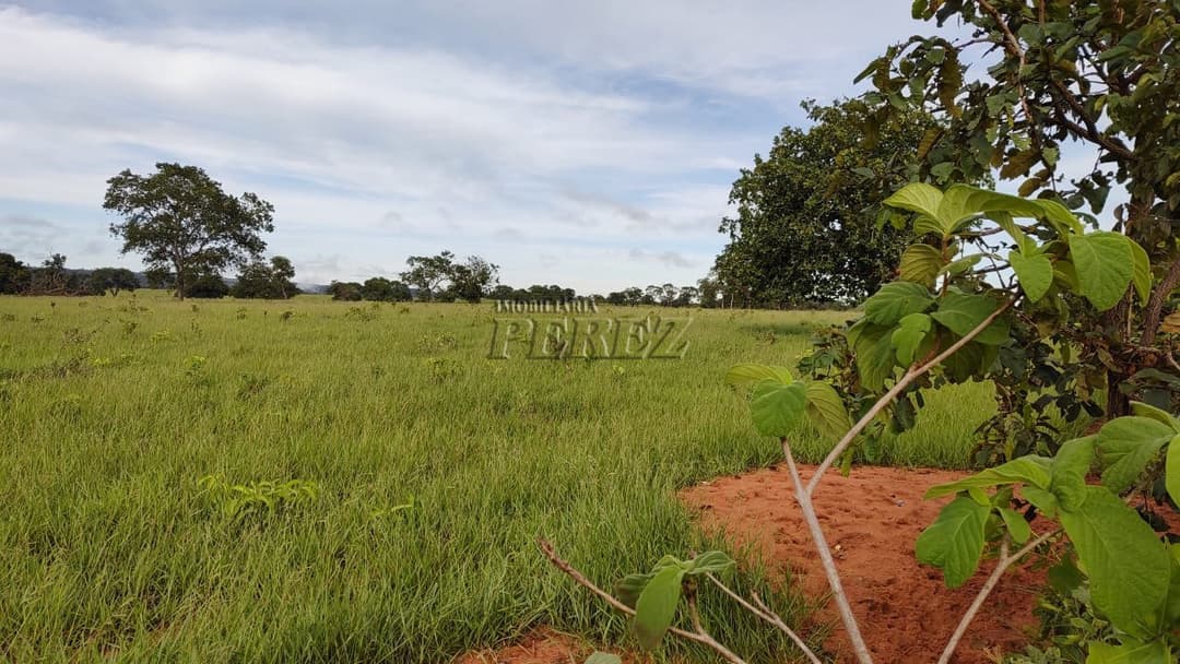 Fazenda à Venda - Coxim, MS - Foto 10