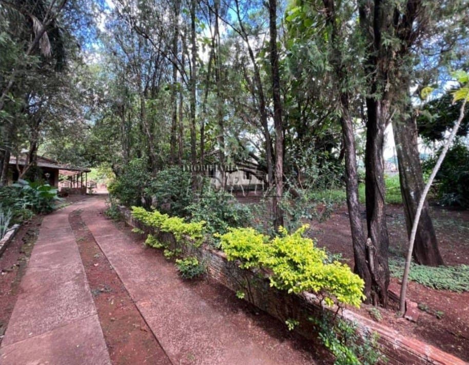 Chácara à Venda - Jardim Lindóia  Rua Cândido de Abreu, Jardim Lindóia - Foto 26